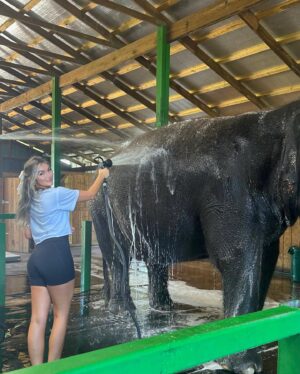 Alyssa Snider Instagram - Went to an elephant sanctuary and even got to give ‘em a bath 🐘🛁
To donate to our big friends: https://www.myakkaelephantranch.org/support