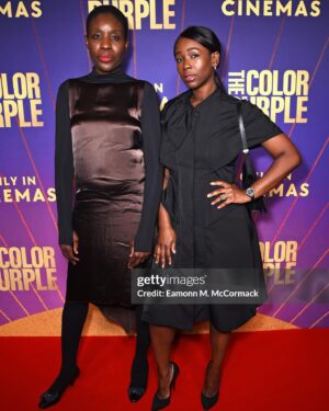 Ama K. Abebrese Instagram - At the VIP screening of @thecolorpurple last night. Congratulations to director @blitzambassador and the amazing cast. 💜

Styled by @marian_kwei 
Wearing @anasekularac dress with @casadeiofficial shoes. 

 @warnerbrosuk thecolorpurple #purplelove