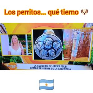 Amalia González Instagram - Hoy lunes era sí o sí para hablar de "ayer"...y también para un poco de autobombo jeje 😉

@empezareldiaoki 
@ciudad_magazine 📺
