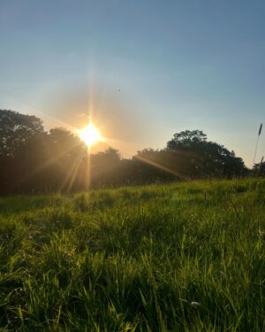 Amanda Lamb Instagram - Funny isn’t it how you can live in an area for decades and never actually notice or see parts of it. Changed that last night and went and sat with the Badge and Lottie in the meadow at the top of Richmond Hill. It was absolute heaven. We sat and watched the sun go down, drank rose and J20’s  from the @the_roebuck_richmond and staggered back very happy… sometimes it’s the small things isn’t it….