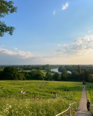 Amanda Lamb Instagram - Funny isn’t it how you can live in an area for decades and never actually notice or see parts of it. Changed that last night and went and sat with the Badge and Lottie in the meadow at the top of Richmond Hill. It was absolute heaven. We sat and watched the sun go down, drank rose and J20’s  from the @the_roebuck_richmond and staggered back very happy… sometimes it’s the small things isn’t it….