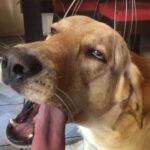 Amanda Keller Instagram - Friday….