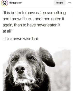 Amanda Keller Instagram - Words to live by….