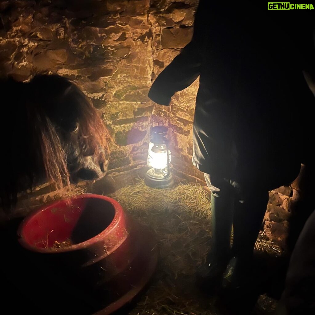Amanda Owen Instagram - Fair weather ☀️ or foul ❄️ , day 🌞 or night 🌙 there’s tasks to do. 🐴 🐴 #yorkshire #weather #snow #lantern #day #night #farm #blizzard #horses #animals