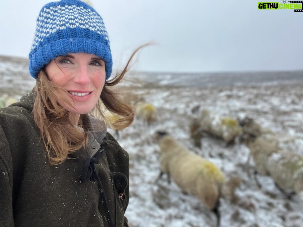 Amanda Owen Instagram - Winter woollies. 🐑🐑🐑🧣👬👭❄️ 🐶 #snow #winter #icy #woolly #yorkshire #sheep #farm