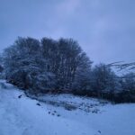 Amanda Owen Instagram – O wind, if Winter comes, can Spring be far behind?

~Percy Bysshe Shelley~

❄️❄️❄️❄️❄️❄️❄️❄️❄️
#yorkshire #snow #winter #spring #countryside #outdoors #poem #poetry