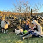 Amanda Owen Instagram – Trials and tribulations.
🐑🐑🐑🐑🐑🐑🐑🐑🐑🐑🐑🐑🐑🐑
#yorkshire #shepherdess