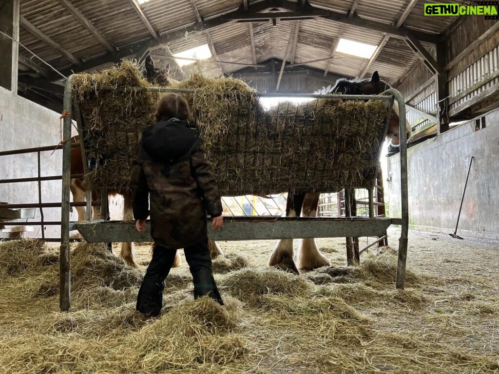 Amanda Owen Instagram - Haytime playtime. 🐴 🌾 #hay #horses #heavyhorses #feedingtime #yorkshire #shepherdess #farm
