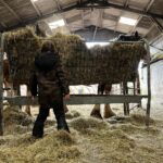 Amanda Owen Instagram – Haytime playtime. 🐴 🌾
#hay #horses #heavyhorses #feedingtime #yorkshire #shepherdess #farm