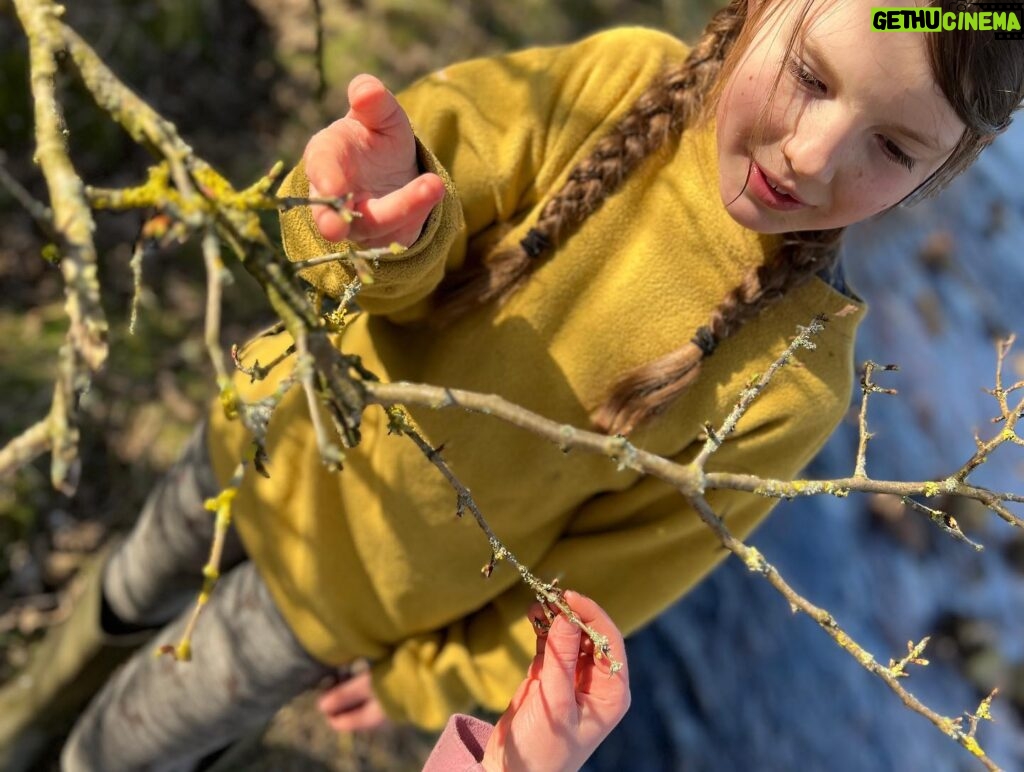 Amanda Owen Instagram - Budding naturalists, botanists, ecologists, ornithologists, hydrologists, geologists. And farmers. 👩‍🌾 🌱🌳☘️🪹🪺🦔🌾🌸🌼🦅🐦🐝🕷️🐞 #yorkshire #countryside #outdoors #nature #farm #learning