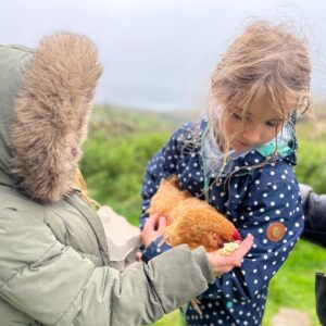 Amanda Owen Thumbnail - 16.6K Likes - Top Liked Instagram Posts and Photos