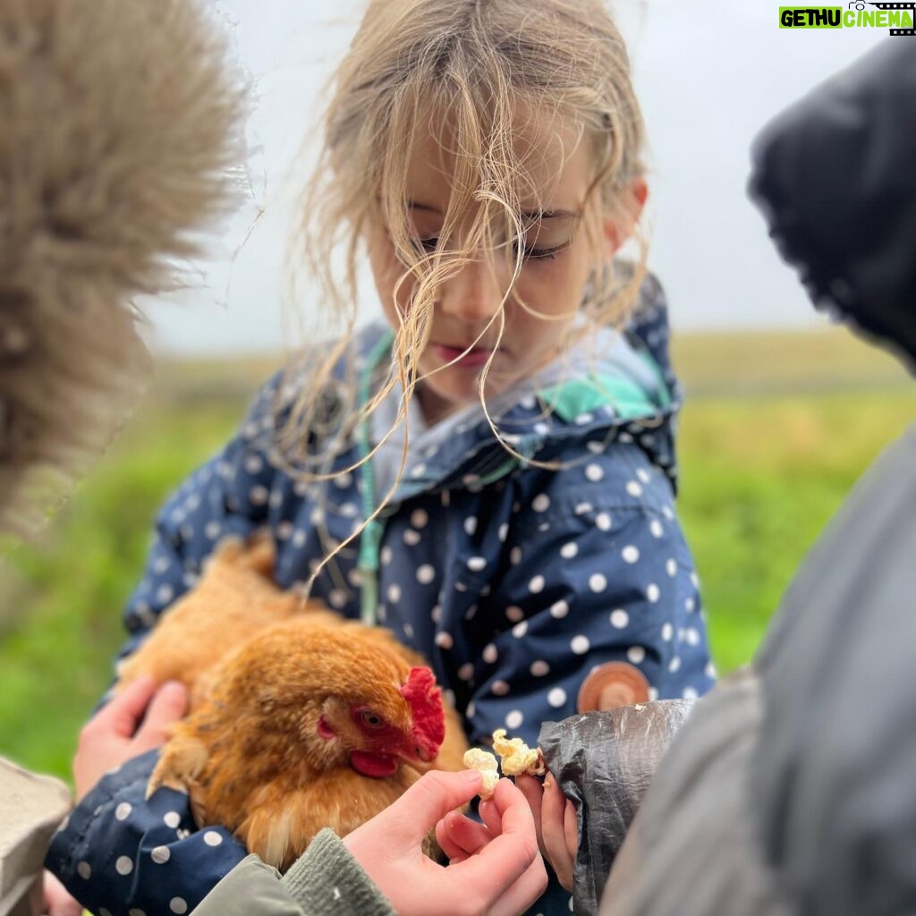 Amanda Owen Instagram - A hen party 🐔🎉 Hatching a plan. 🐔 🐣 Popcorn chicken. 🐔🍿 #chicken #hens #henparty