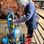 Amanda Owen Instagram – Buttercup 🐄 the house cow getting a massage from Maple🐴 whilst getting milked 🥛then back her her calf Pansy 🐄. #cow #horse #selfsufficiency