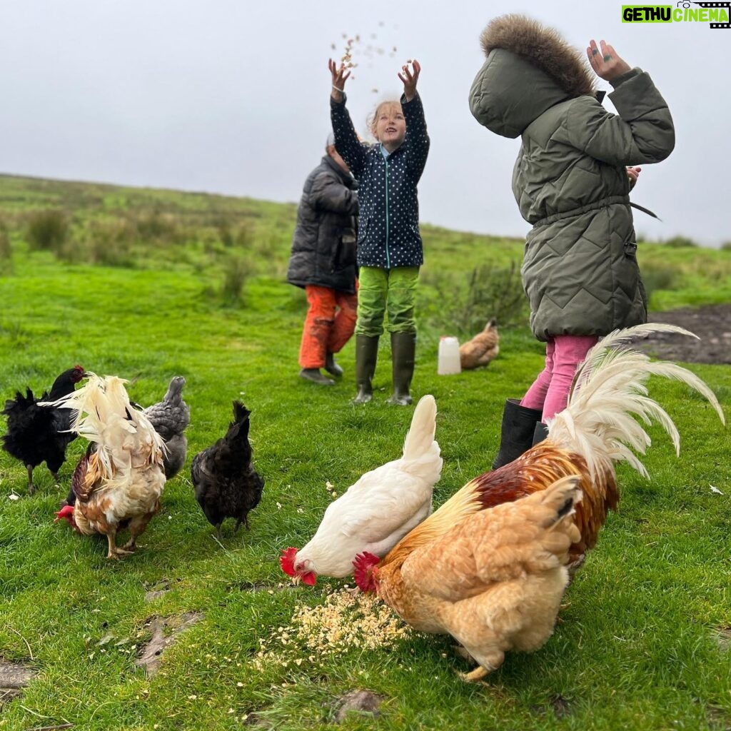 Amanda Owen Instagram - A hen party 🐔🎉 Hatching a plan. 🐔 🐣 Popcorn chicken. 🐔🍿 #chicken #hens #henparty