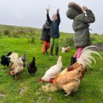 Amanda Owen Instagram – A hen party 🐔🎉 
Hatching a plan. 🐔 🐣
Popcorn chicken. 🐔🍿 
#chicken #hens #henparty