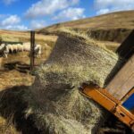 Amanda Owen Instagram – What a changeable week weather wise, bright sunshine, gale force winds and torrential rain. Need some calm but instead there’s a snow forecast. ❄️😕
#yorkshire #shepherdess #weather #countryside #outdoors #spring