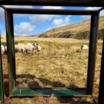 Amanda Owen Instagram – In the frame 🖼️ on a picture perfect day.
#yorkshire #shepherdess #countryside #view #outdoors