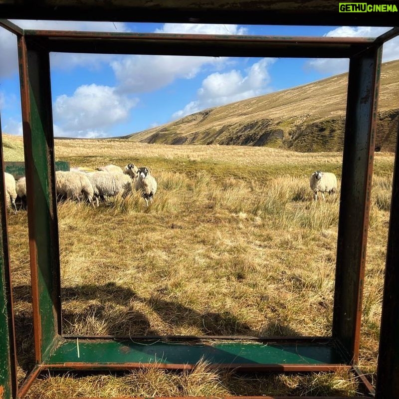Amanda Owen Instagram - In the frame 🖼️ on a picture perfect day. #yorkshire #shepherdess #countryside #view #outdoors