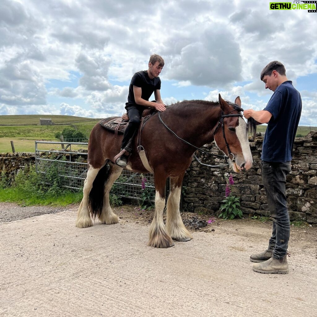 Amanda Owen Instagram - There’s horsepower @reubenowen74 @tommy.mcwhirter 🚜 And there’s horsepower. 🐴 Mine doesn’t have a fuel vaporisation issue. 😊 #heavyhorse #tractor