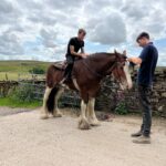 Amanda Owen Instagram – There’s horsepower @reubenowen74 @tommy.mcwhirter 🚜 
And there’s horsepower. 🐴 
Mine doesn’t have a fuel vaporisation issue. 😊 
#heavyhorse #tractor