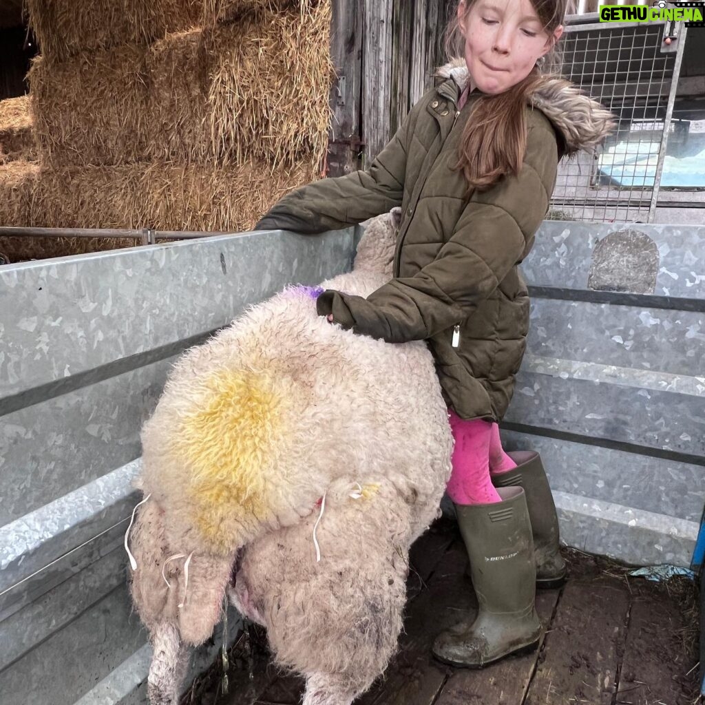 Amanda Owen Instagram - Out on the rounds & apprehending a yow with an issue. Fortunately a small prolapse is easy enough to sort out and my team like being hands-on. 🙌 🐑 Waiting for the wee that she absolutely couldn’t do until things were put back from whence they came. 🐑 That must feel a lot better. #yorkshire #shepherdesses #outdoors