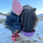 Amanda Owen Instagram – A proper wintery feel to the beginning of December. 
❄️☃️🏂🐴🐑🐏
#swaledale #yorkshire #shepherdess #winter #nithered #snow #cold #freezing