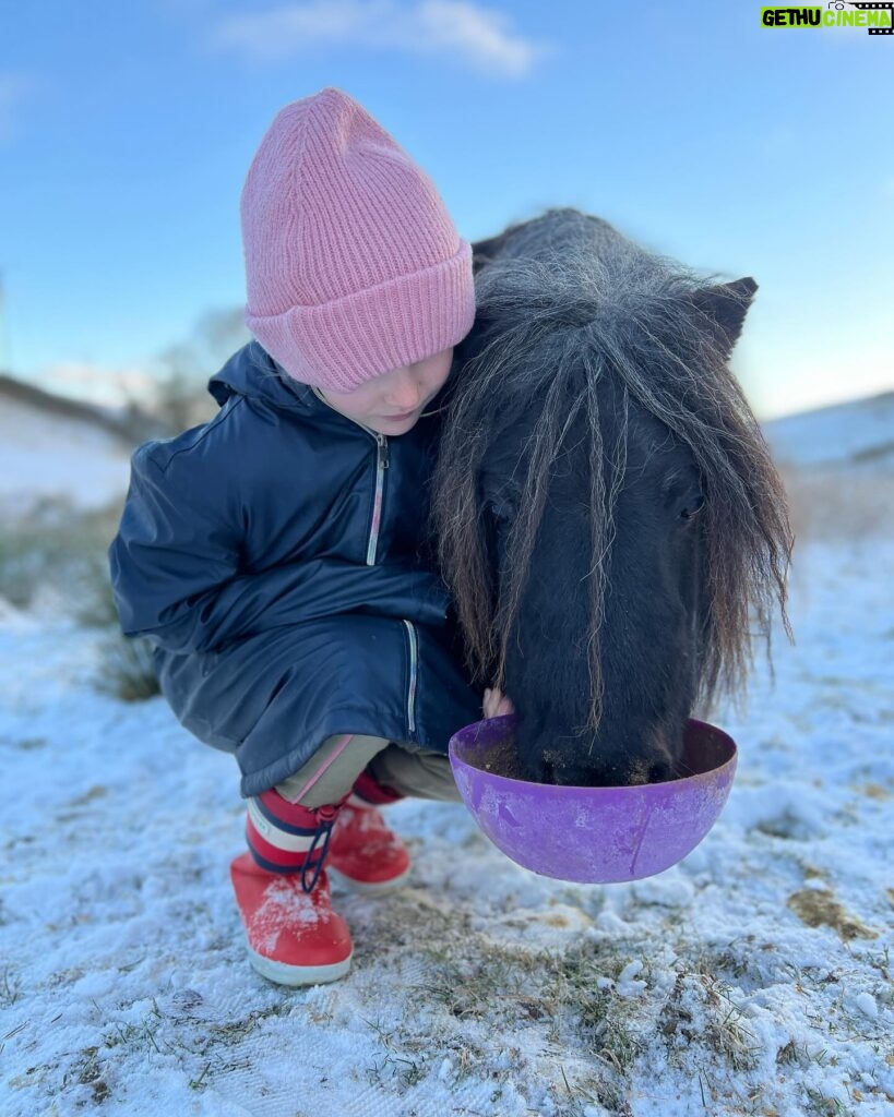 Amanda Owen Instagram - A proper wintery feel to the beginning of December. ❄️☃️🏂🐴🐑🐏 #swaledale #yorkshire #shepherdess #winter #nithered #snow #cold #freezing