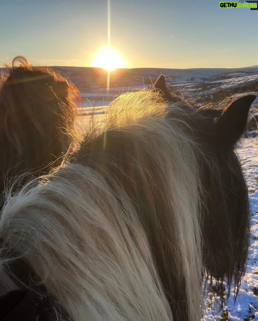 Amanda Owen Instagram - A proper wintery feel to the beginning of December. ❄️☃️🏂🐴🐑🐏 #swaledale #yorkshire #shepherdess #winter #nithered #snow #cold #freezing