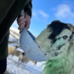 Amanda Owen Instagram – A proper wintery feel to the beginning of December. 
❄️☃️🏂🐴🐑🐏
#swaledale #yorkshire #shepherdess #winter #nithered #snow #cold #freezing