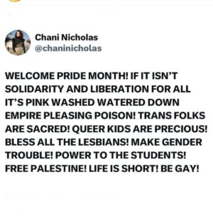 Amanda Palmer Instagram - Well that about sums it up. LIFE IS SHORT!! BE GAY!! Thanks Chani. And a reminder to all that I am bisexual AF. Love your local bi weirdo. We exist and we love you. 

HAPPY PRIDE MONTH EVERYBODY 
🌈🔥🏳️‍⚧️♥️🏳️‍🌈🦄🎹🫀🩵🩶💟💓💚💖

#pride #pridemonth #pride🌈 #bi #bisexualpride