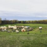 Amanda Schull Instagram - 3 years ago this week I was a cow person in 1852. Swipe left to see some of my fellow cow folk and a birdseye view of the epic tent world created for #12Monkeys. Fun fact: my horse did not care for me. @emilyhampshire @aaronastanford @tstashwick @the_joe_menendez #tbt #cowfolk #verywildwest #butactuallywildwildcanada