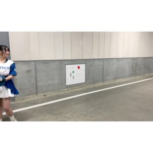 Amane Shindo Instagram - ⚾️💙

パーソル パシフィック・リーグ 公式戦 
2024/5/10 ES CON FIELD HOKKAIDO プロ野球カードゲーム ドリームオーダー 冠協賛試合 にて始球式つとめさせて頂きました✨️⚾️

ずっと夢だった始球式、とっても緊張したけどすっごく楽しくて一生忘れない思い出です！！
（左に寄っちゃったの悔しいからまたいつかリベンジしたいｯｯｯ🔥）

すっごく素敵な試合を生で、エスコンで観れて幸せでした😭✨️
野球沼、日ハム沼にどっぷりハマってしまいました💙
今まで球団のキャラクターグッズ集める事はあっても、選手のグッズ買ったことなかったので初めての体験( ^ᵕ^)
私が特に気になってた選手おふたりがまさかのヒーロー✨️
これから沢山応援します‼️

本当にありがとうございました！！

  #lovefighters  #北海道日本ハムファイターズ  #ドリームオーダー  #ドリオ  #ねすぐらむ