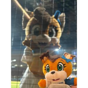 Amane Shindo Instagram - ⚾️💙

パーソル パシフィック・リーグ 公式戦 
2024/5/10 ES CON FIELD HOKKAIDO プロ野球カードゲーム ドリームオーダー 冠協賛試合 にて始球式つとめさせて頂きました✨️⚾️

ずっと夢だった始球式、とっても緊張したけどすっごく楽しくて一生忘れない思い出です！！
（左に寄っちゃったの悔しいからまたいつかリベンジしたいｯｯｯ🔥）

すっごく素敵な試合を生で、エスコンで観れて幸せでした😭✨️
野球沼、日ハム沼にどっぷりハマってしまいました💙
今まで球団のキャラクターグッズ集める事はあっても、選手のグッズ買ったことなかったので初めての体験( ^ᵕ^)
私が特に気になってた選手おふたりがまさかのヒーロー✨️
これから沢山応援します‼️

本当にありがとうございました！！

  #lovefighters  #北海道日本ハムファイターズ  #ドリームオーダー  #ドリオ  #ねすぐらむ