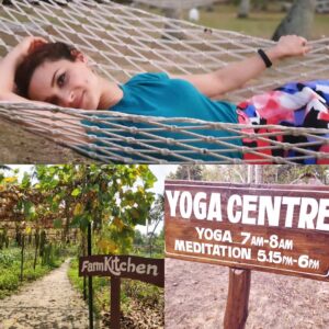 Amber Rose Revah Instagram - #zen #organic #meditation #yoga #love