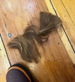 Amber Tamblyn Instagram - It’s International Women’s Day. I cut off half a foot of my hair. Here’s a picture for the algorithm, to pull you in close like a good poet can do, to tell you I’ve been thinking a lot about being a woman lately. I’ve been thinking about women all over the world, especially those in conflict zones, whose bodies are collateral damage in wars, politics, the work place, our own homes. Women who have been assaulted, kidnapped, silenced, displaced, disappeared. I’m thinking about South Sudanese women, Palestinian women, Congolese women, Iranian women, Haitian women, Jewish women, Ukrainian women, American women. ALL women. I’m thinking about E. Jean Carroll getting justice decades later against a man this country might say yes to again. I’m thinking about why we keep saying yes to these men, again and again. I’m thinking about the ghosts of the MeToo movement; the stories I heard that still haunt me, that will never get their reckoning, their day in court, their light of day. I’m thinking about what we let happen to Brittany Watts, American Black mothers, and the women in Alabama who were so close to getting their IVF transfers.  I’m thinking of the women who will never get to have their babies, and the women who never got to say goodbye to their own. I’m thinking about when Ada Limón wrote that the insides of herself are part female, part male, part terrible dragon, and how much I know this to be true. I’m thinking about everything that’s burned in the fires of other’s mouths, how much blood we’ve collectively lost, us women, from all of it—enough to fill a thousand oceans. I’m thinking of all that we hold, and all that is ripped away from us. Of the ways we are torn into, split  apart, pitted against one another. 

Today I’m thinking about you. Each and every one of you, across the world. Here are some orgs I love that are thinking about women and girls, too. Share yours in the comments. 

▪️Women’s Peace and Humanitarian Fund: WphFund.org
▪️International Planned Parenthood Federation:  IPPF.org
▪️GlobalRightsForWomen.org

#InternationalWomensDay