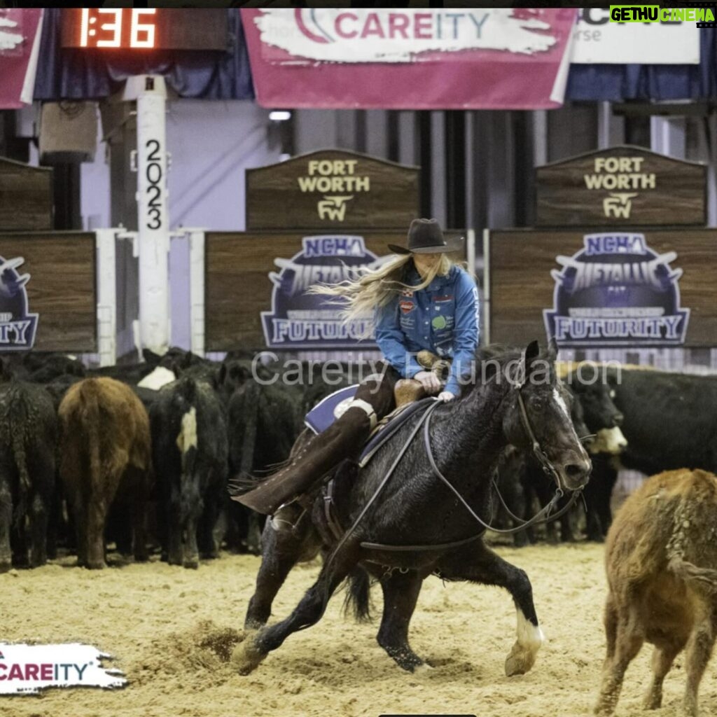 Amberley Snyder Instagram - 💬 Question by @finjohnegan: Is there an equestrian disciple you’ve admired or always wanted to do, but haven’t? 🌟 🍀 Competing in the @careity_foundation celebrity cutting last fall was one of the funnest things I’ve ever done!! I have only ridden a cutting horse once prior to this experience and never cut a live cow! It was absolutely thrilling!! If I wasn’t a barrel racer I think I might want to be a cutter! Thanks for a great question! 🤗 And thanks to Jake Ream and family for making that experience possible!! 🤍 #amberleysnyder #walkriderodeo