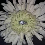 Amberley Snyder Instagram - 💍…. the details…. ✨ Started with a re-creation of our date to Christmas lights, through our adventures at Supercross, Disney, New Orleans, Corvette cruises and NFR just to name a few! Candles, flowers, lights and petals…You didn’t miss a detail for me 🥰 #amberleysnyder #theclevelands