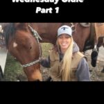 Amberley Snyder Instagram - 💕 WHEELCHAIR WEDNESDAY OLDIE PART 1 from 2017! 💕 Fun to actually see where we started with Legacy as a newbie to the team! 🥰 #wheelchairwednesday #amberleysnyder #walkriderodeo