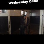 Amberley Snyder Instagram - 🙆🏼‍♀️ WHEELCHAIR WEDNESDAY from the past! And maybe one of my scarier ones!! 😝 #amberleysnyder #walkriderodeo #wheelchairwednesday