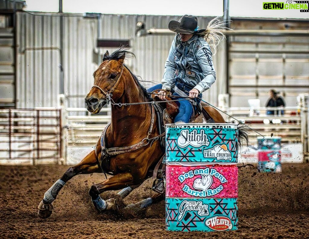 Amberley Snyder Instagram - 🌟 Legacy @ Dog & Pony Show 🌟 #frenchopen #amberleysnyder #walkriderodeo ❤️ @purinaperformancehorse ❤️ @cinchjeans ❤️ @redmondequine ❤️ @officialharttrailer ❤️ @signaturequarters ❤️ @_classicequine ❤️ @bemerhorseset ❤️ @summit_animalhealth ❤️ Mccollee land & Livestock ❤️ @farnamhorse / @purishield ❤️ @southvalleyequinehospital ❤️ @americanhatco ❤️ @montana.silversmiths ❤️ @silverliningherbs