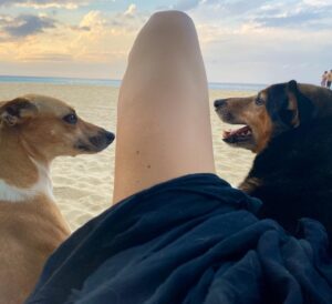 Amelia Eve Instagram - Made a few furiends in Paradise 🐾