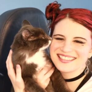 Amelia Rose Blaire Instagram - I’m in love 💙 Theo .
#dechartgames #catsofinstagram #kitten #adoptdontshop #kittenrescue