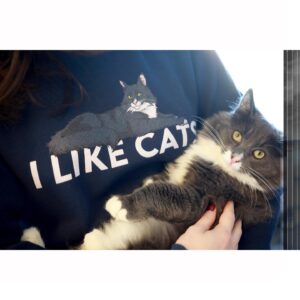 Amelia Rose Blaire Instagram - I like cats. That is that. Use Discount Code “Dechart” on all merch at DechartGames.com! .
.
#dechartgames #connorarmy #catsofinstagram #cats #ilikecats #merch #twitch #streamer #twitchpartner