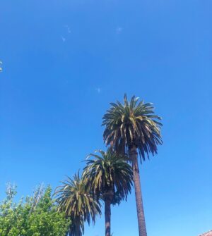 Amelia Warner Instagram - Will miss these blue skies..
🌴💕🌴💕🌴💕🌴💕