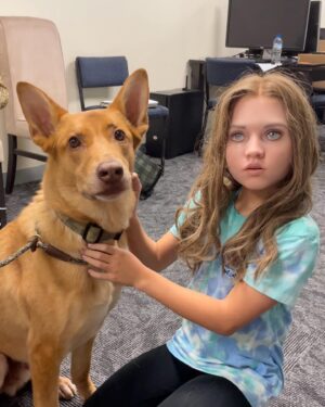 Amie Donald Instagram - M3gan really does love dogs, just not ones that hurt Cady 🥰

@blumhouse @blumhousehorror @atomicmonster @universalpictures @universalpicturesnz #m3gan #meetm3gan #amiedonald #Daxthedog aka Dax