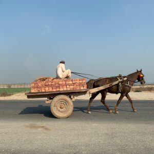 Amrit Kaur Instagram - On my travels to Pakistan, I encountered this kindred spirit. I’ve been studying horses and their movements for about a year, as part of an acting exercise. As we were setting up for a movie shot, I kept on escaping to spend time with Dudu. Yep, that’s him, the charming ivory horse who I met at the French Beach in Karachi. I mean, he did greet me by peeing beside my feet, but aside from that... ha!...very charming. He’s so beautiful he doesn’t look real. It is an animal close to my heart and seems to keep reappearing in my life - and Pakistan has so much respect for these animals. They’re everywhere: groomed, celebrated, clothed and deeply loved like family. Love you Dudu. Love all the horses. Till we meet again xo
 
 #horses #animalwork #study #gracemoonarts #acting #culture #love #Pakistan