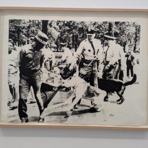Amrit Kaur Instagram - On an old school train to The Broad Museum and I feel about nine. If old school cars really can make you time travel, I would like to be picked up re: Midnight in Paris lol! 

Got to see a Basquiat and Warhol painting in the flesh for the first time. Every time I look at this Basquiat painting I see a new meaning 🤯