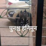 Amruta Subhash Instagram - Love Jodi पुनश्च हनिमून पुढील प्रयोग रवि 21 एप्रिल दुपारी 4.30 वा आ. अत्रे कल्याण. रवि 28 एप्रिल रात्र 8.30 वा गडकरी, ठाणे Book on BMS. https://in.bookmyshow.com/plays/punaschya-honeymoon/ET00358923 Disclaimer: Promotional video विनोदी असला तरी नाटकात फक्त विनोद नाहीत. #ipl #cricket #love #relatable #husbandandwife #couples #couplereels #funny #reelkarofeelkaro #reelitfeelit #theatre #phirsehoneymoon #actor #actorslife #phirsehoneymoon #पुनश्चहनिमून @amitphalke @mangaajjii @pooja_phalke @kaushalknight @meerawelankar_official @ashutoshparandkar @anup.mane.9 @amoghh.pisal @pritish_khandagale @shridhar__dige @digambar.prabhu @sameerhampi @abhinay_parmar_ @phirsehoneymoon