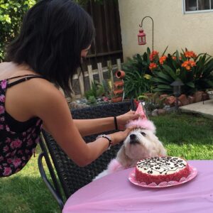Amy Okuda Instagram - My best friend and forever baby. For half my life she made everyone laugh with her bitchy antics. My heart hurts more than I ever could have imagined and life will never be the same but I hope she will be watching over us as we enter a new chapter. 
Lola, thank you for being the cutest, spunkiest, most difficult dog in the world. We will always make sure to save a piece of wagyu steak for you.