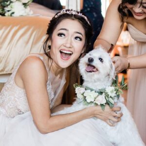 Amy Okuda Instagram - My best friend and forever baby. For half my life she made everyone laugh with her bitchy antics. My heart hurts more than I ever could have imagined and life will never be the same but I hope she will be watching over us as we enter a new chapter. 
Lola, thank you for being the cutest, spunkiest, most difficult dog in the world. We will always make sure to save a piece of wagyu steak for you.
